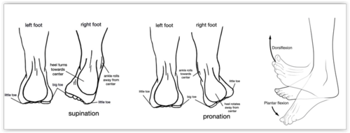 Foot movements